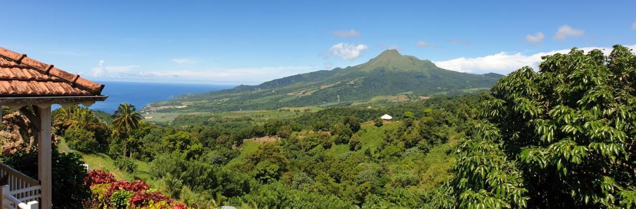Le Hameau Du Morne Des Cadets Villa Fond-Saint-Denis Kültér fotó